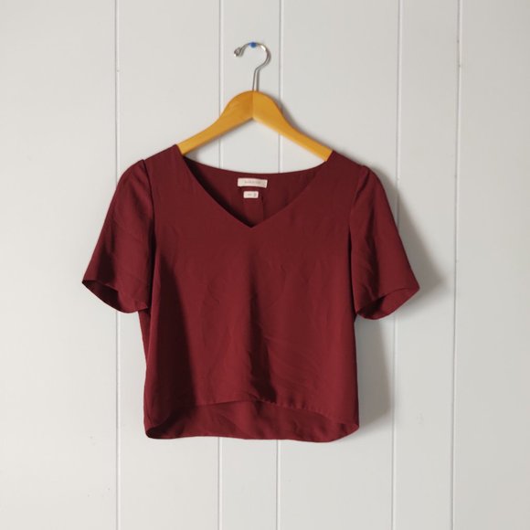 Babaton Tops - Aritzia Babaton Randy V-neck Blouse in Barolo